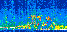 /calipso-imagery/data/BROWSE/production/V5-00/2013-08-02/2013-08-02_11-33-33_V5.00_2_thmb.png image missing