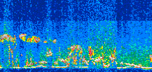 /calipso-imagery/data/BROWSE/production/V5-00/2013-08-02/2013-08-02_18-09-04_V5.00_3_thmb.png image missing