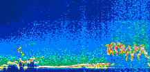/calipso-imagery/data/BROWSE/production/V5-00/2013-08-03/2013-08-03_00-44-35_V5.00_1_thmb.png image missing