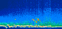 /calipso-imagery/data/BROWSE/production/V5-00/2013-08-03/2013-08-03_05-41-16_V5.00_1_thmb.png image missing