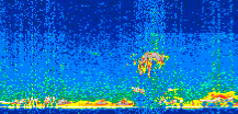 /calipso-imagery/data/BROWSE/production/V5-00/2013-08-03/2013-08-03_15-34-32_V5.00_2_thmb.png image missing