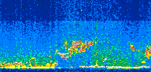 /calipso-imagery/data/BROWSE/production/V5-00/2013-08-03/2013-08-03_15-34-32_V5.00_3_thmb.png image missing