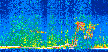 /calipso-imagery/data/BROWSE/production/V5-00/2013-08-03/2013-08-03_18-52-17_V5.00_2_thmb.png image missing