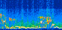 /calipso-imagery/data/BROWSE/production/V5-00/2013-08-04/2013-08-04_03-06-44_V5.00_3_thmb.png image missing