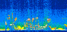 /calipso-imagery/data/BROWSE/production/V5-00/2013-08-04/2013-08-04_04-45-34_V5.00_3_thmb.png image missing