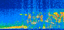 /calipso-imagery/data/BROWSE/production/V5-00/2013-08-04/2013-08-04_06-24-29_V5.00_2_thmb.png image missing