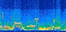 /calipso-imagery/data/BROWSE/production/V5-00/2013-08-04/2013-08-04_08-03-19_V5.00_3_thmb.png image missing