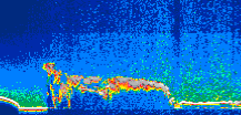 /calipso-imagery/data/BROWSE/production/V5-00/2013-08-04/2013-08-04_09-42-14_V5.00_1_thmb.png image missing