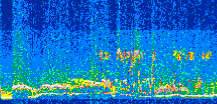 /calipso-imagery/data/BROWSE/production/V5-00/2013-08-04/2013-08-04_11-21-10_V5.00_2_thmb.png image missing