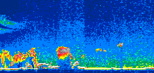 /calipso-imagery/data/BROWSE/production/V5-00/2013-08-04/2013-08-04_17-56-40_V5.00_1_thmb.png image missing