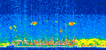 /calipso-imagery/data/BROWSE/production/V5-00/2013-08-04/2013-08-04_17-56-40_V5.00_2_thmb.png image missing