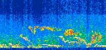 /calipso-imagery/data/BROWSE/production/V5-00/2013-08-04/2013-08-04_22-53-16_V5.00_3_thmb.png image missing