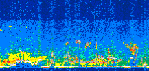 /calipso-imagery/data/BROWSE/production/V5-00/2013-08-06/2013-08-06_09-29-46_V5.00_3_thmb.png image missing