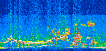 /calipso-imagery/data/BROWSE/production/V5-00/2013-08-06/2013-08-06_11-08-41_V5.00_2_thmb.png image missing