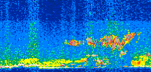 /calipso-imagery/data/BROWSE/production/V5-00/2013-08-06/2013-08-06_12-47-31_V5.00_2_thmb.png image missing