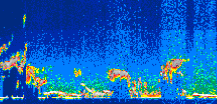 /calipso-imagery/data/BROWSE/production/V5-00/2013-08-06/2013-08-06_19-23-02_V5.00_1_thmb.png image missing