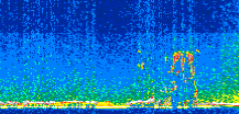 /calipso-imagery/data/BROWSE/production/V5-00/2013-08-06/2013-08-06_21-01-57_V5.00_2_thmb.png image missing