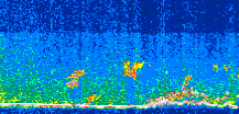 /calipso-imagery/data/BROWSE/production/V5-00/2013-08-06/2013-08-06_21-01-57_V5.00_3_thmb.png image missing