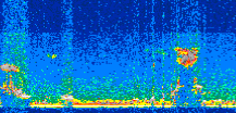 /calipso-imagery/data/BROWSE/production/V5-00/2013-08-06/2013-08-06_22-40-48_V5.00_2_thmb.png image missing