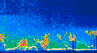 /calipso-imagery/data/BROWSE/production/V5-00/2013-08-07/2013-08-07_00-19-43_V5.00_4_thmb.png image missing