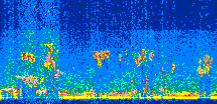 /calipso-imagery/data/BROWSE/production/V5-00/2013-08-07/2013-08-07_01-58-33_V5.00_2_thmb.png image missing