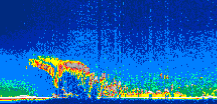 /calipso-imagery/data/BROWSE/production/V5-00/2013-08-07/2013-08-07_03-37-28_V5.00_1_thmb.png image missing