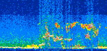 /calipso-imagery/data/BROWSE/production/V5-00/2013-08-07/2013-08-07_05-16-18_V5.00_2_thmb.png image missing