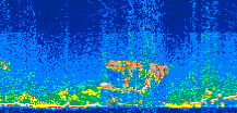 /calipso-imagery/data/BROWSE/production/V5-00/2013-08-07/2013-08-07_11-51-49_V5.00_3_thmb.png image missing