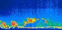 /calipso-imagery/data/BROWSE/production/V5-00/2013-08-07/2013-08-07_13-30-45_V5.00_1_thmb.png image missing