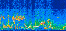 /calipso-imagery/data/BROWSE/production/V5-00/2013-08-07/2013-08-07_18-27-20_V5.00_3_thmb.png image missing