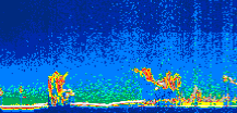/calipso-imagery/data/BROWSE/production/V5-00/2013-08-07/2013-08-07_23-24-01_V5.00_1_thmb.png image missing