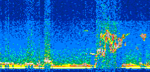 /calipso-imagery/data/BROWSE/production/V5-00/2013-08-07/2013-08-07_23-24-01_V5.00_2_thmb.png image missing