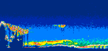 /calipso-imagery/data/BROWSE/production/V5-00/2013-08-08/2013-08-08_00-16-21_V5.00_2_thmb.png image missing