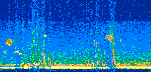 /calipso-imagery/data/BROWSE/production/V5-00/2013-08-08/2013-08-08_01-02-56_V5.00_2_thmb.png image missing