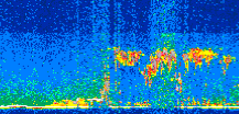/calipso-imagery/data/BROWSE/production/V5-00/2013-08-08/2013-08-08_04-20-42_V5.00_2_thmb.png image missing