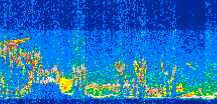 /calipso-imagery/data/BROWSE/production/V5-00/2013-08-08/2013-08-08_07-38-27_V5.00_3_thmb.png image missing