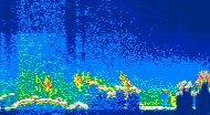 /calipso-imagery/data/BROWSE/production/V5-00/2013-08-08/2013-08-08_12-35-03_V5.00_4_thmb.png image missing