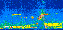 /calipso-imagery/data/BROWSE/production/V5-00/2013-08-08/2013-08-08_14-13-58_V5.00_2_thmb.png image missing
