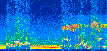 /calipso-imagery/data/BROWSE/production/V5-00/2013-08-08/2013-08-08_22-28-19_V5.00_2_thmb.png image missing