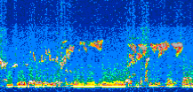 /calipso-imagery/data/BROWSE/production/V5-00/2013-08-12/2013-08-12_00-37-59_V5.00_2_thmb.png image missing
