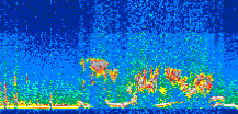/calipso-imagery/data/BROWSE/production/V5-00/2013-08-12/2013-08-12_00-37-59_V5.00_3_thmb.png image missing