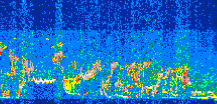 /calipso-imagery/data/BROWSE/production/V5-00/2013-08-12/2013-08-12_07-13-25_V5.00_3_thmb.png image missing