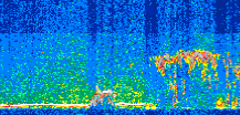 /calipso-imagery/data/BROWSE/production/V5-00/2013-08-12/2013-08-12_18-45-36_V5.00_2_thmb.png image missing