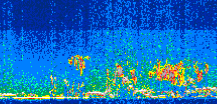 /calipso-imagery/data/BROWSE/production/V5-00/2013-08-12/2013-08-12_22-03-22_V5.00_3_thmb.png image missing