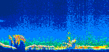 /calipso-imagery/data/BROWSE/production/V5-00/2013-08-14/2013-08-14_05-22-06_V5.00_1_thmb.png image missing