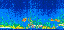 /calipso-imagery/data/BROWSE/production/V5-00/2013-08-14/2013-08-14_11-57-37_V5.00_3_thmb.png image missing