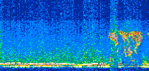 /calipso-imagery/data/BROWSE/production/V5-00/2013-08-14/2013-08-14_20-11-58_V5.00_2_thmb.png image missing