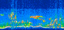 /calipso-imagery/data/BROWSE/production/V5-00/2013-08-14/2013-08-14_20-11-58_V5.00_3_thmb.png image missing