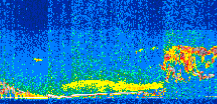 /calipso-imagery/data/BROWSE/production/V5-00/2013-08-29/2013-08-29_12-51-54_V5.00_2_thmb.png image missing