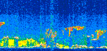 /calipso-imagery/data/BROWSE/production/V5-00/2013-08-29/2013-08-29_12-51-54_V5.00_3_thmb.png image missing